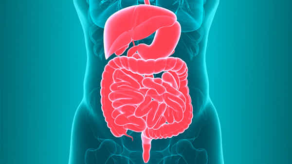 Health Tips: మీ పేగులు మురికితో నిండిపోయినయా..? ఈ చిన్న పనితో వేల వ్యాధులకు చెక్ పెట్టండి..
