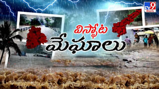 Watch: గాల్లో విమానం.. రన్‌ వేపై ఊడిన టైర్.. పైలట్లు ఏం చేశారంటే..? వీడియో వైరల్..