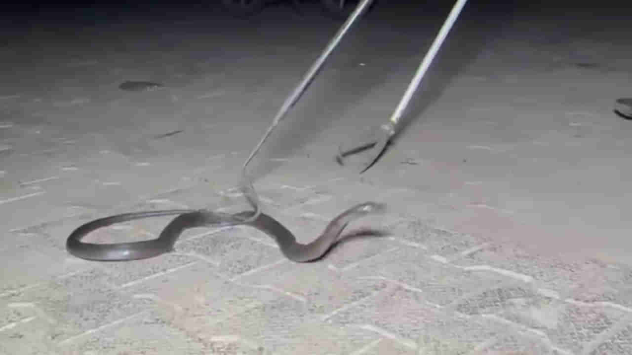 Viral: శబ్దాలు వస్తుంటే లారీ టైరు నుంచి గాలి పోతుందేమో అనుకున్నాడు.. కానీ సీటు కిందే కుంపటి