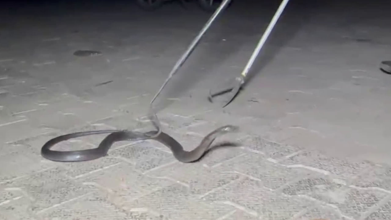 Viral: శబ్దాలు వస్తుంటే లారీ టైరు నుంచి గాలి పోతుందేమో అనుకున్నాడు.. కానీ సీటు కిందే కుంపటి