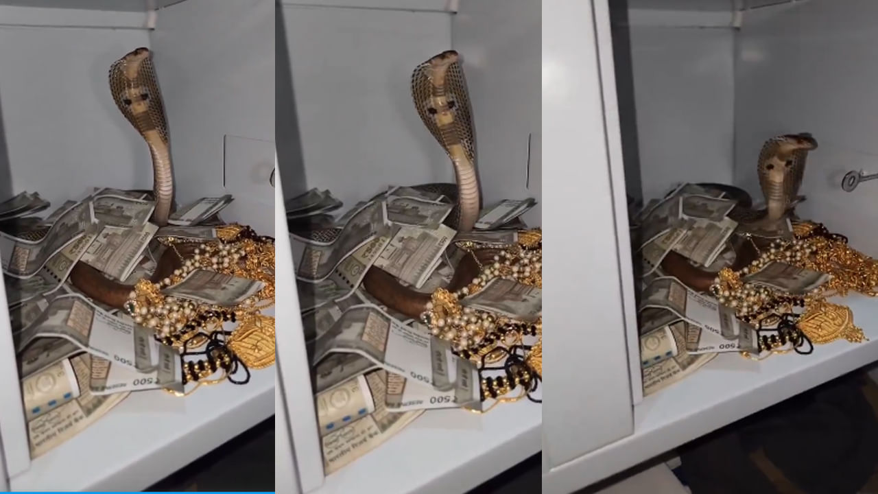 Viral Video: నువ్వు కూడా డబ్బు మజా మరిగావా..? మరి అక్కడకి ఎందుకు దూరావ్ మావ