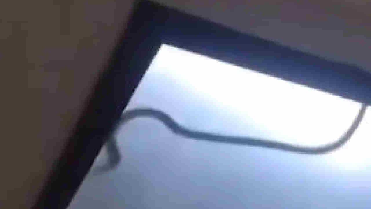 Watch: సీలింగ్ లైట్లో కదులుతూ భయపెట్టిన వింత ఆకారం..36గంటల పాటు నరకం చూసిన కుటుంబం.. ఇంతకీ ఏం జరిగిందంటే..