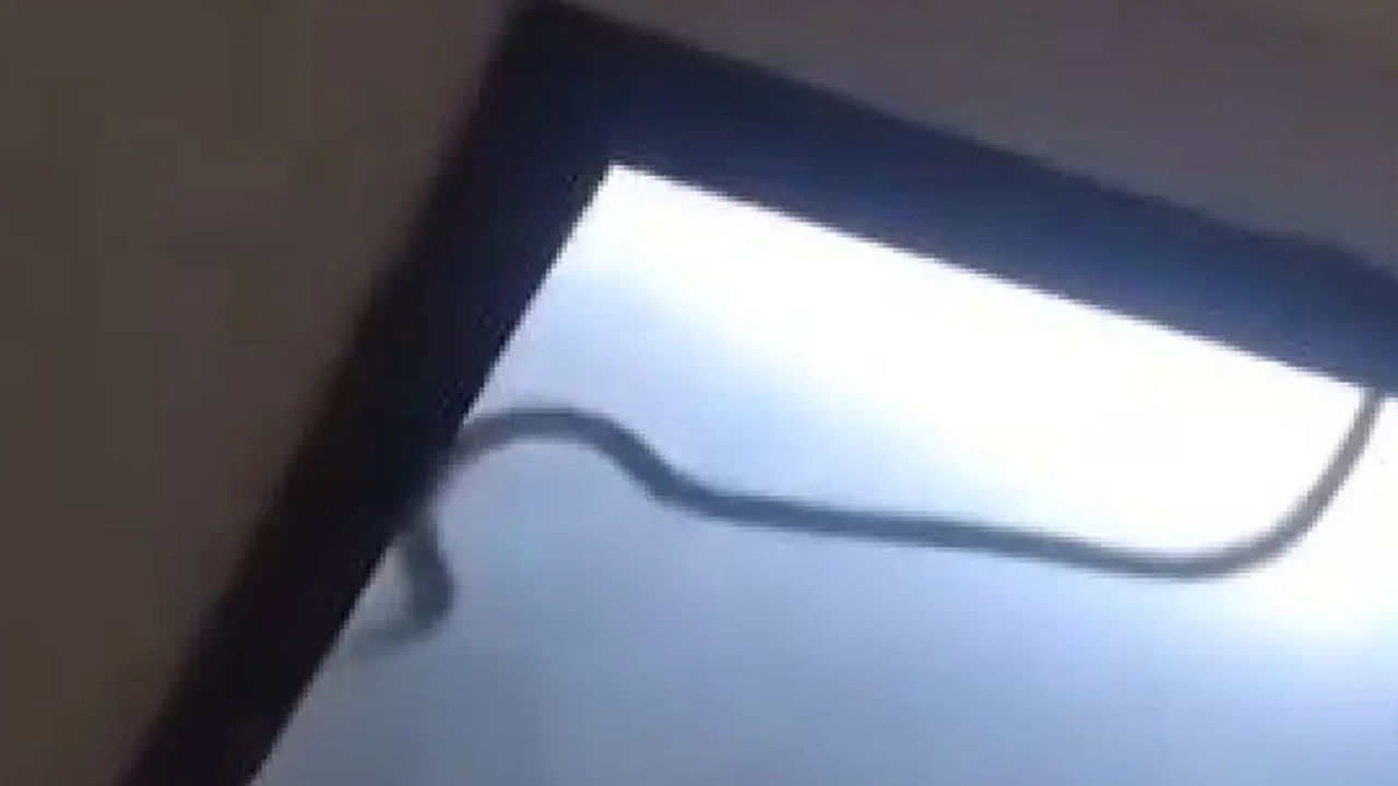 Watch: సీలింగ్ లైట్‌లో కదులుతూ భయపెట్టిన వింత ఆకారం..36గంటల పాటు నరకం చూసిన కుటుంబం.. ఇంతకీ ఏం జరిగిందంటే..