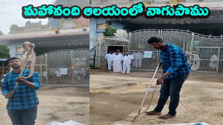 అమ్మబాబోయ్‌.. ఒకే కిడ్నీలో 1820 రాళ్లు..