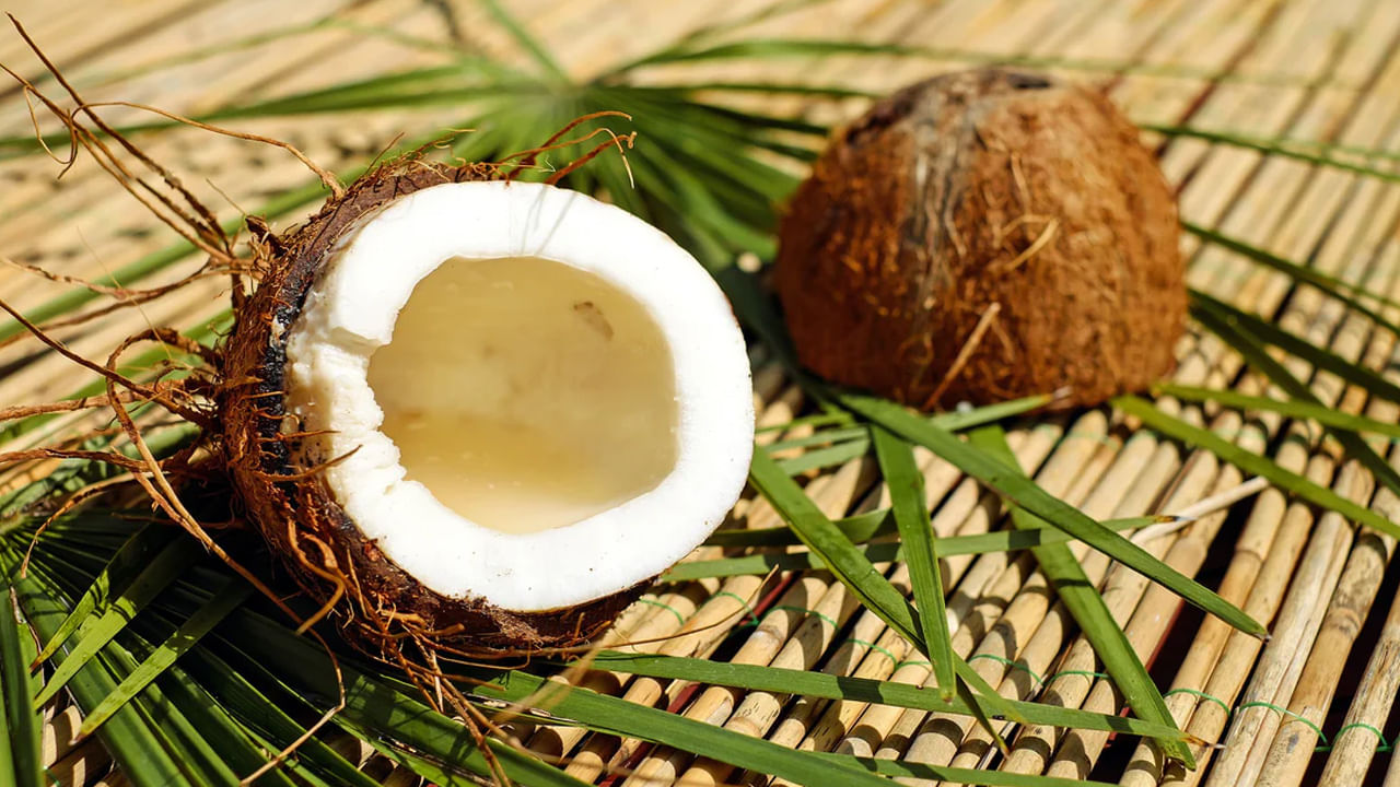 Coconut