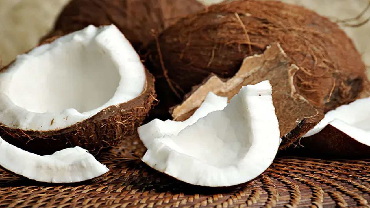 Coconut