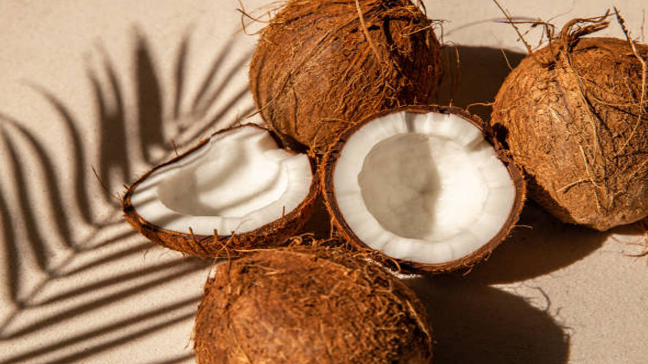 Coconut 4