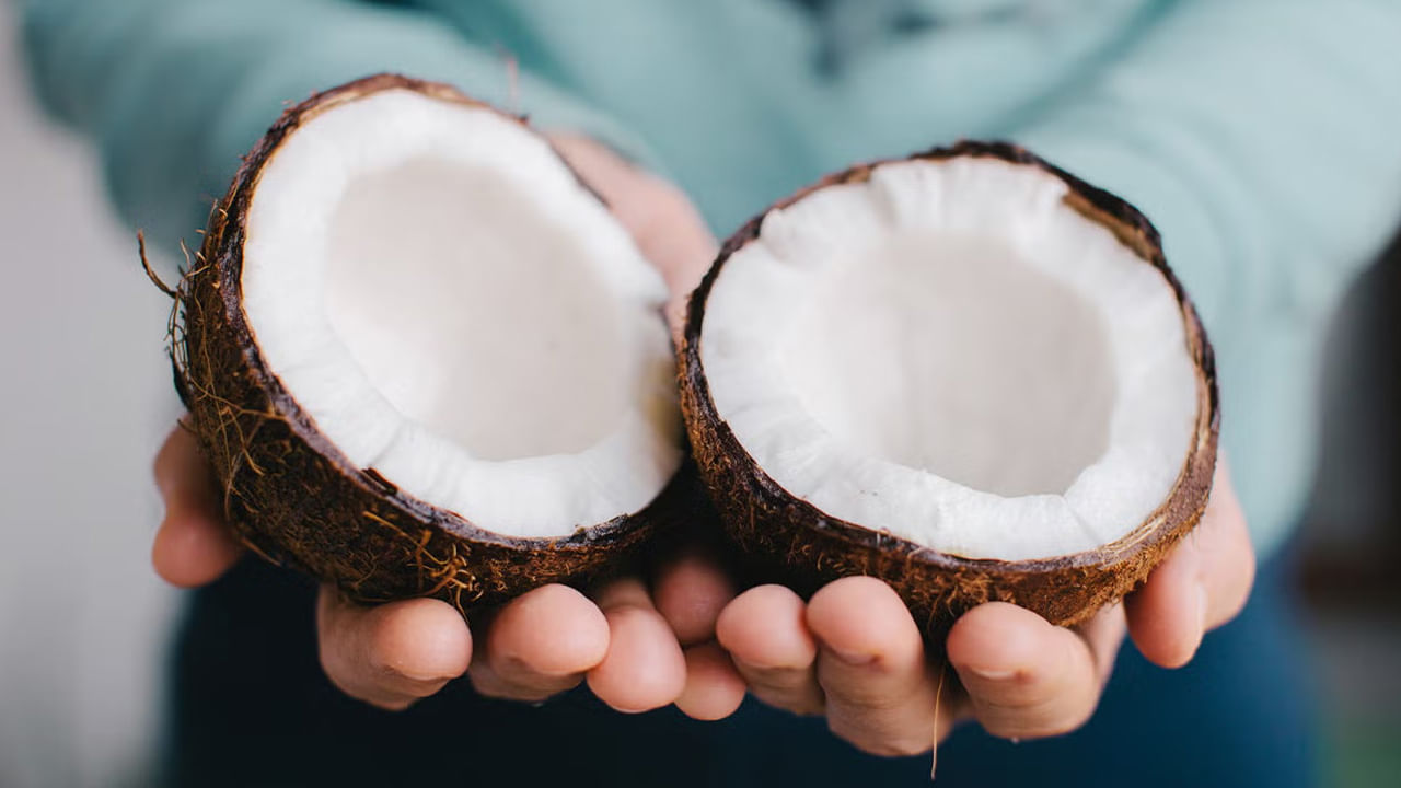 Coconut