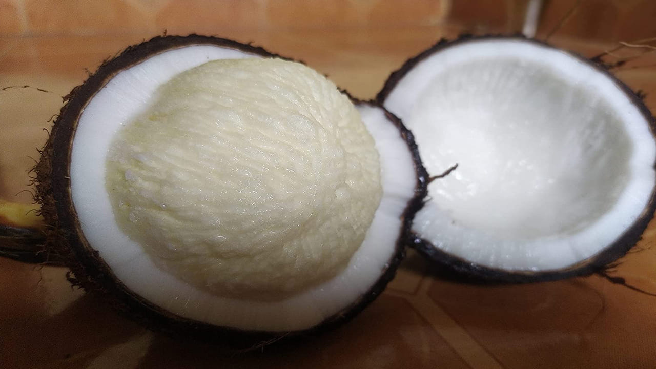 మొలకెత్తిన కొబ్బరిలో ఉండే థయామిన్, రిబోఫ్లేవిన్, నియాసిన్, ఫోలేట్ శరీరాన్ని ఆరోగ్యంగా ఉంచుతాయి. కొబ్బరి పువ్వు తినడం వల్ల మీకు తక్షణ శక్తి అనుభూతి కలుగుతుంది. దీనిలోని ఇన్సులిన్ స్రావం మధుమేహంతో సంబంధం ఉన్న లక్షణాలను మెరుగుపరుస్తుంది. ఇన్సులిన్ లోపం, అకాల వృద్ధాప్యం, వ్యాధులకు కారణమయ్యే ఫ్రీ రాడికల్స్ను తొలగించడం ద్వారా శరీరాన్ని క్యాన్సర్ నుండి రక్షించడంలో సహాయపడుతుంది.