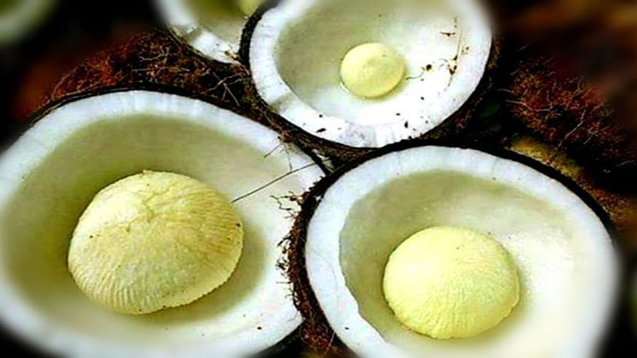 కొబ్బరి పువ్వులో ఉండే పొటాషియం రక్తపోటు స్థాయిని నిర్వహిస్తుంది. ఇలా మొలకెత్తిన కొబ్బరి తినడం వల్ల గుండె సమస్యలు కూడా నయమవుతాయి. ఇందులో ఉండే పొటాషియం గుండెను బలపరుస్తుంది. దీని వినియోగం గుండెపోటు మరియు గుండెపోటు ప్రమాదాన్ని తగ్గిస్తుంది. ఇందులో ఉండే ఇనుము, రాగి శరీరంలో ఆక్సిజన్ ప్రవాహాన్ని మెరుగుపరుస్తాయి. జుట్టు, చర్మం ఆరోగ్యంగా, యవ్వనంగా కనిపించడానికి సహాయపడుతుంది. ముడతలు, రంగు మారడం, వయస్సు మచ్చలను నివారిస్తుంది. సూర్యరశ్మి నుండి రక్షణను అందిస్తుంది.