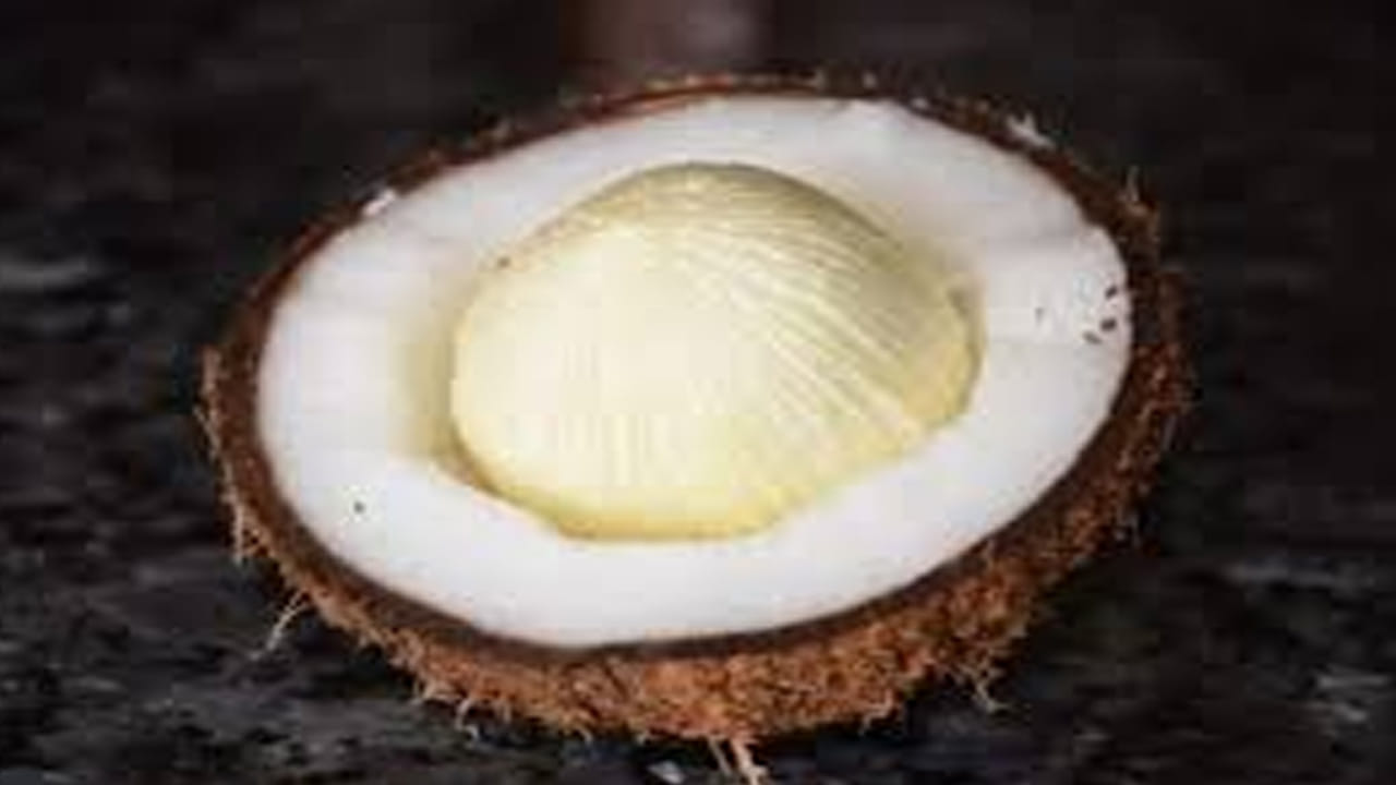 కొబ్బరి, కొబ్బరి నీరు ఆరోగ్యానికి చాలా ప్రయోజనకరంగా భావిస్తారు. కొబ్బరి మాత్రమే కాదు దాని పువ్వు కూడా అద్భుతంగా ఉంటుంది. కొబ్బరి పువ్వులో ఫైబర్, ఒమేగా-3 ఆమ్లం, భాస్వరం, పొటాషియం, కాల్షియం, మెగ్నీషియం, విటమిన్ సి, యాంటీఆక్సిడెంట్లు వంటి పోషకాలు ఉంటాయి. దీనిని తీసుకోవడం ద్వారా జీర్ణవ్యవస్థ ఆరోగ్యంగా ఉంటుంది. ఎముకలు కూడా బలంగా మారుతాయి. ఇందులో అనేక రకాల పోషకాలు లభిస్తాయి. ఇందులో రోగనిరోధక శక్తిని పెంచే విటమిన్ సి పుష్కలంగా ఉంటుంది.