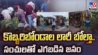 విమానంలో ఎలుక.. కేకలు పెట్టిన ప్రయాణికులు