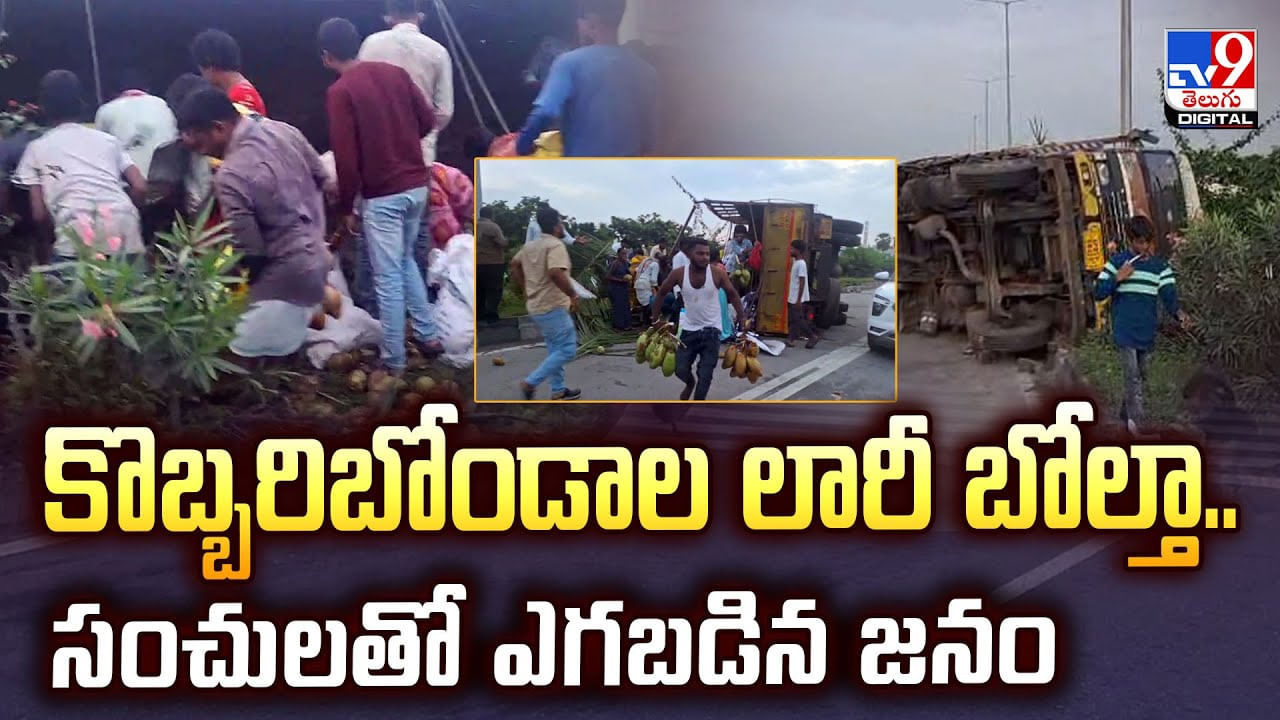 కొబ్బరిబోండాల లారీ బోల్తా.. సంచులతో ఎగబడిన జనం