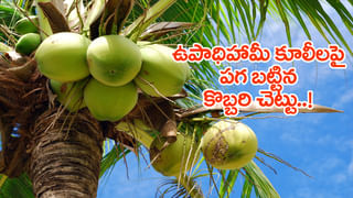 AP, Telangana News Live: రేపటి నుండి జీఎస్టీ పొదుపు పండుగ.. ప్రతి ఇల్లు స్వదేశీకి చిహ్నంగా మారాలిః మోదీ