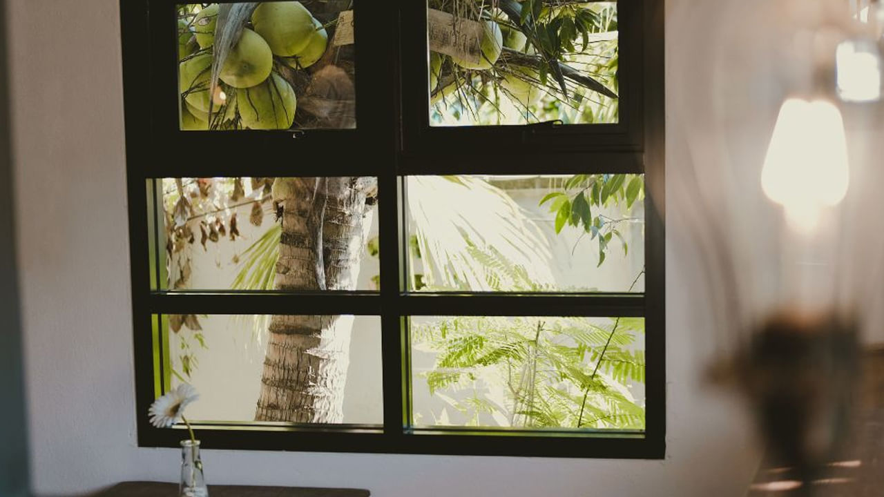 Coconut Vastu Tips