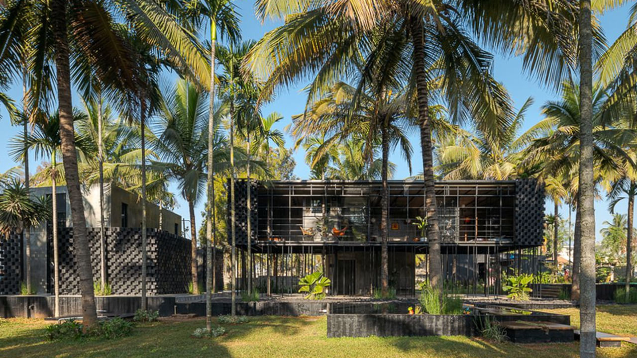 Coconut Vastu Tips
