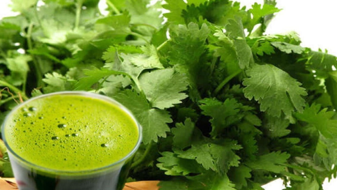 ఈ రోజుల్లో చాలా మంది అధిక కొలెస్ట్రాల్‌తో బాధపడుతున్నారు. అయితే, పచ్చి కొత్తిమీర శరీరంలో LDL (చెడు) కొలెస్ట్రాల్ స్థాయిని తగ్గిస్తుంది. ఇది అధిక రక్తపోటును కూడా నియంత్రిస్తుంది. ఇది మంచి గుండె ఆరోగ్యాన్ని కాపాడుతుంది. నిజానికి, కొత్తిమీర శరీరం నుండి అదనపు సోడియం, నీటిని తొలగిస్తుంది. ఇది రక్తపోటును తక్కువగా ఉంచుతుంది. HDL (మంచి) కొలెస్ట్రాల్‌ను పెంచుతుంది.