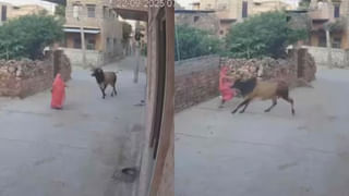 Watch: అంతా బాగానే ఫ్లాన్ చేశారు.. ఎలా దొరికిపోయారబ్బా..! మంటగలుస్తున్న బంధాలు..!