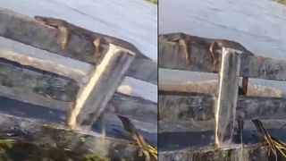 Telangana Rains: పండక్కి కూడా వాన ముసురే.. మరో బాంబు పేల్చిన వాతావరణ శాఖ