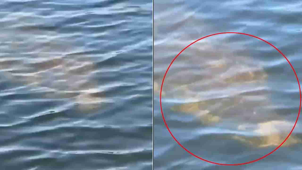 Viral Video: దండిగా చేపలు పడదామని బోట్‌లో వెళ్లాడు.. నీటి అడుగున కనిపించింది చూడగా