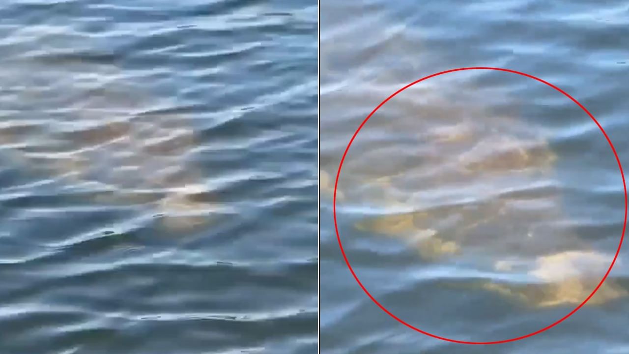 Viral Video: దండిగా చేపలు పడదామని బోట్‌లో వెళ్లాడు.. నీటి అడుగున కనిపించింది చూడగా