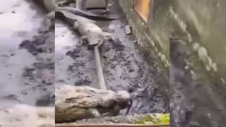 మరణం పలకరించడమంటే ఇదేనేమో.. రెప్పపాటులో తప్పిన ప్రమాదం..!