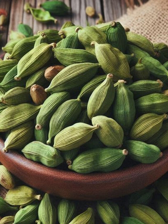 యాలకులతో ఆరోగ్యం.. రోజూ తింటే కలిగే ఫలితాలు ఇవే!