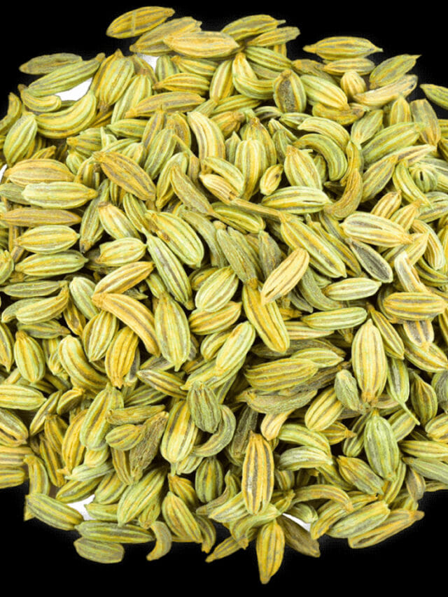 చలికాలంలో సోంపు చేసే మేలే వేరు..  ఇలా  తీసుకుంటే ఆ సమస్యలు ఖతమే!