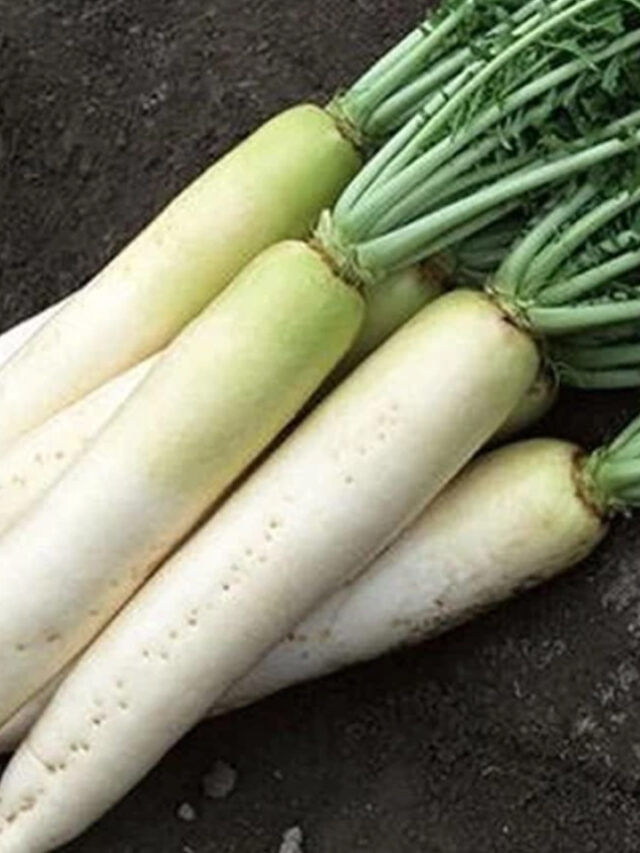 చలికాలంలో ముల్లంగి తినడం వలన కలిగే ఆరోగ్య ప్రయోజనాలు ఇవే!