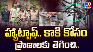 బ్లడ్‌ టెస్ట్‌ రిపోర్ట్‌లోని కీలకాంశాలు మీకు తెలుసా? వీడియో