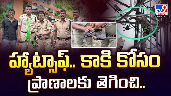 హ్యాట్సాఫ్.. కాకి కోసం ప్రాణాలకు తెగించి హ్యాట్సాఫ్.. కాకి కోసం ప్రాణాలకు తెగించి