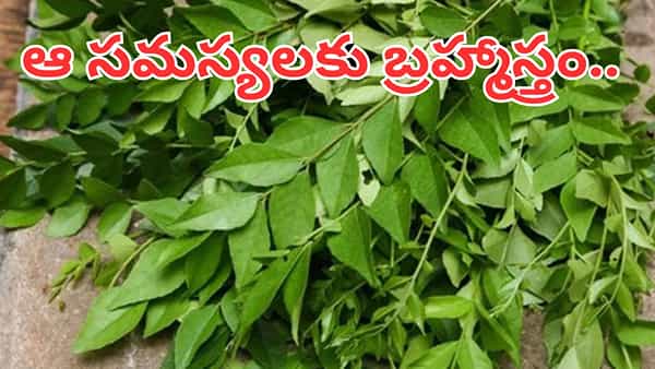 ఇవేం చేస్తాయిలే అనుకునేరు.. ఆ సమస్యలకు పవర్ఫుల్ బ్రహ్మాస్త్రం.. దెబ్బకు రివర్స్ అవ్వాల్సిందే