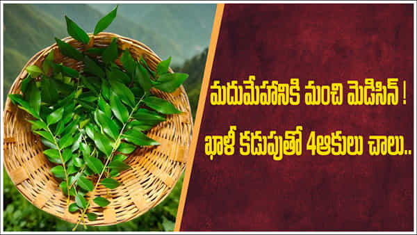 Diabetes: మధుమేహానికి మంచి మెడిసిన్..! ఖాళీ కడుపుతో ఈ ఆకులు నాలుగు తింటే చాలు..