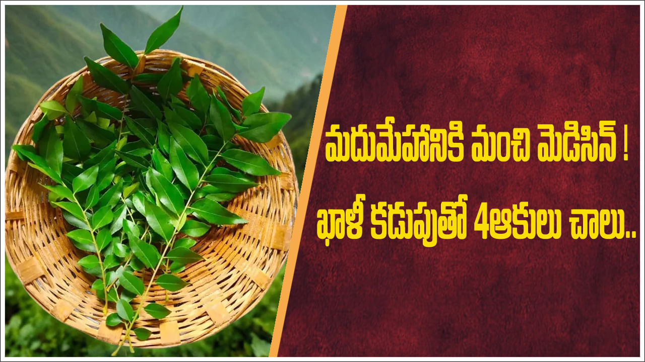 Diabetes: మధుమేహానికి మంచి మెడిసిన్..! ఖాళీ కడుపుతో ఈ ఆకులు నాలుగు తింటే చాలు..