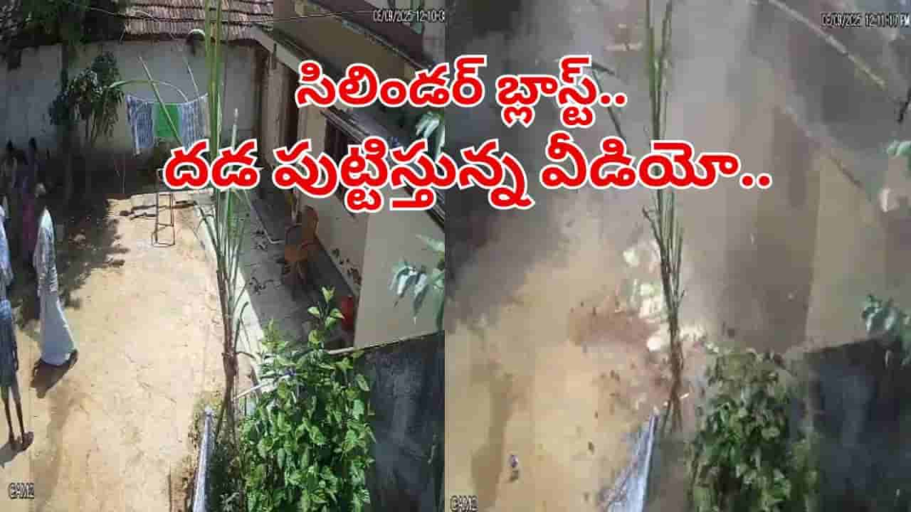 Watch Video: వంట చేస్తుండగా పేలిన గ్యాస్ సిలిండర్.. దడ పుట్టిస్తున్న షాకింగ్ వీడియో!