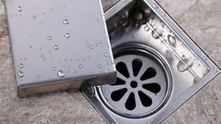 Snakes: మీ ఇంటి చుట్టూ ఇవి ఉంటే.. పాములు వద్దన్నా వస్తాయంట.. తస్మాత్ జాగ్రత్త..