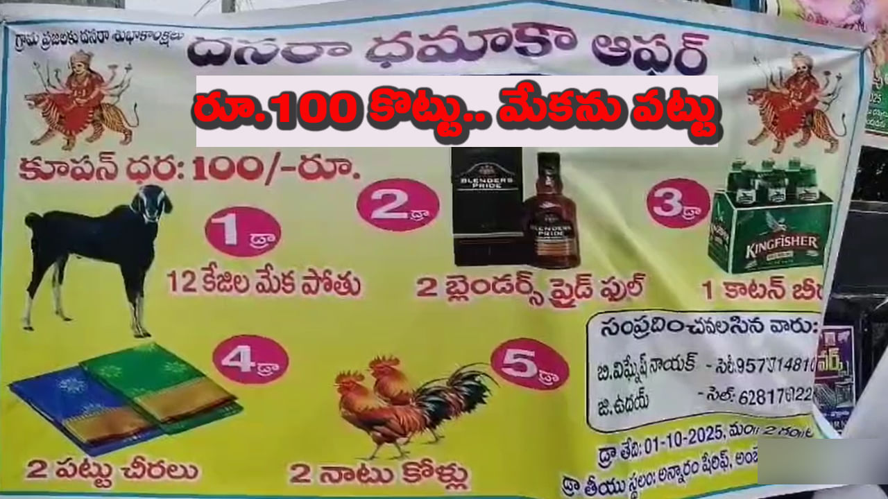 అసలైన ధమాకా.. రూ. వంద కొట్టు కోడిని పట్టు.. లక్కు దక్కితే మేకపోతు మీ స్వంతం..!