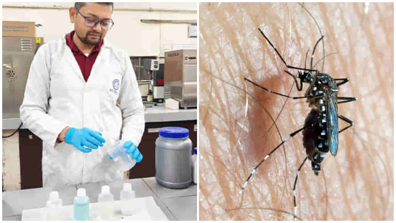 Mosquito Repellent: ఒకే దెబ్బతో బట్టలు శుభ్రం చేస్తూనే, దోమలను తరిమికొట్టే డిటర్జెంట్