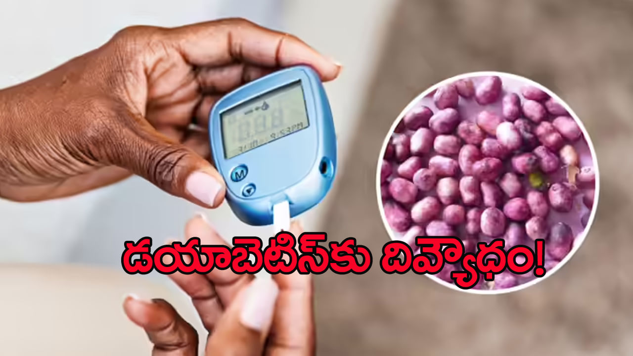 డయాబెటిస్కు దివ్యౌషధం.. ఈ పొడి మీ ఇంట్లో ఉంటే.. ఒంట్లో చక్కెర కంట్రోల్లో ఉన్నట్టే..!