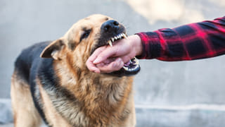 SIM card: సిమ్‌కార్డును ఒక మూల ఎందుకు కట్ చేస్తారో తెలుసా? 99 శాతం మందికి తెలియని విషయం!