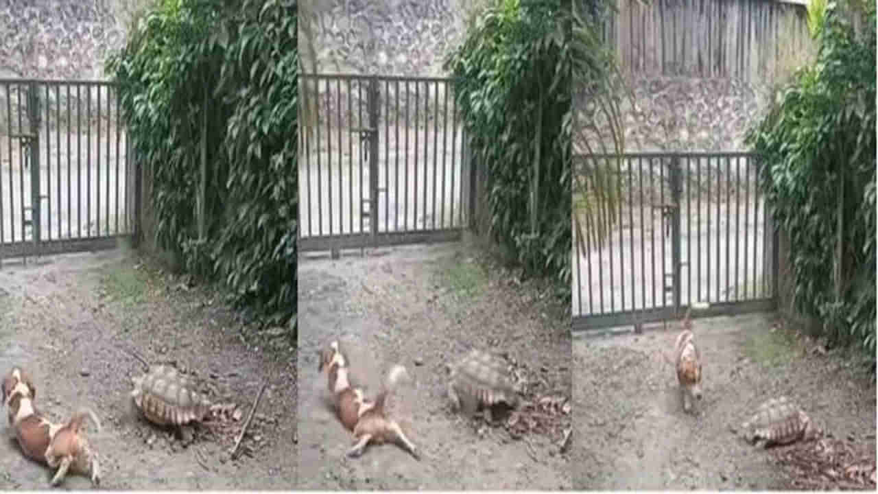 Viral Video: నవ్వీ నవ్వీ కడుపు నొస్తే మాత్రం నాకు తెల్వదు... ఈ వీడియోను చూస్తే మాత్రం నవ్వు ఆపుకోలేరు