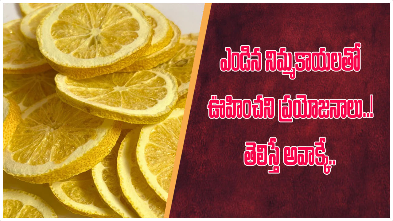 ఎండిన నిమ్మకాయల్ని పారేయకండి.. ఎన్ని ఉపయోగాలు తెలిస్తే వెంటనే దాచేసుకుంటారు..!