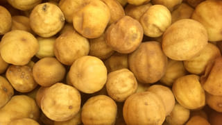 అమ్మవారి అద్భుతం.. ఆలయంలో వేల సంవత్సరాలుగా మండుతున్న జ్వాల..! అష్టాదశ శక్తిపీఠాల్లో ఒకటిగా..