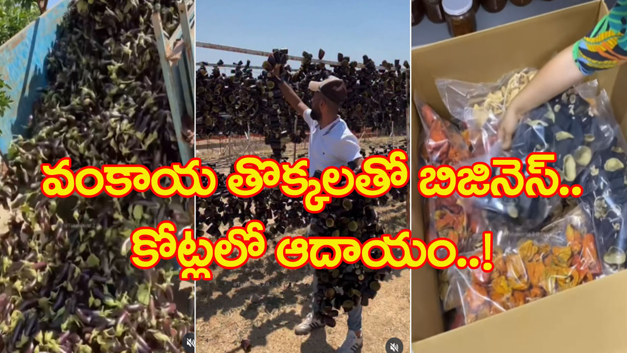 Watch: వార్నీ.. ఈ తొక్కలో బిజినెస్‌తో కోట్ల ఆదాయం..! విదేశాలకు భారీగా ఎగుమతి