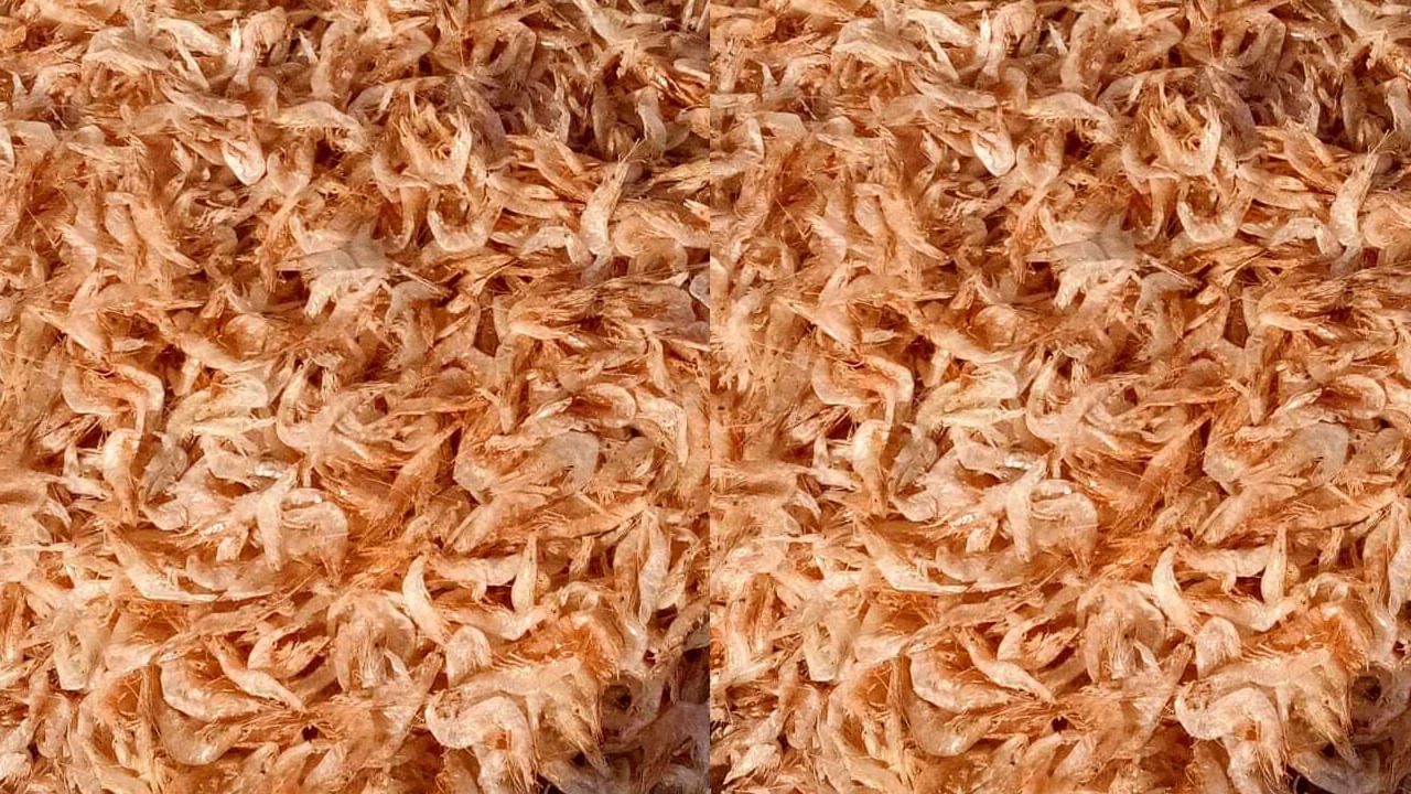  ఎండు రొయ్యల్లో ప్రొటీన్ అధికంగా ఉంటుంది. ఇది కండరాలు, చర్మం, ఇతర శరీర కణాల నిర్మాణానికి, మరమ్మతుకు సహాయపడుతుందని నిపుణులు చెబుతున్నారు. రొయ్యల్లో లభించే ఒమేగా-3 ఫ్యాటీ యాసిడ్స్  గుండె ఆరోగ్యాన్ని మెరుగుపరచడంలో, వాపును తగ్గించడంలో సహాయపడతాయి. 