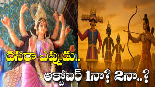 ఈ ఒక్క చెట్టు మీ తోటలో ఉంటే 30ఏళ్ల వరకు డబ్బే డబ్బు..! మార్కెట్‌ కష్టాలు, నష్టాల ఊసేలేదు..