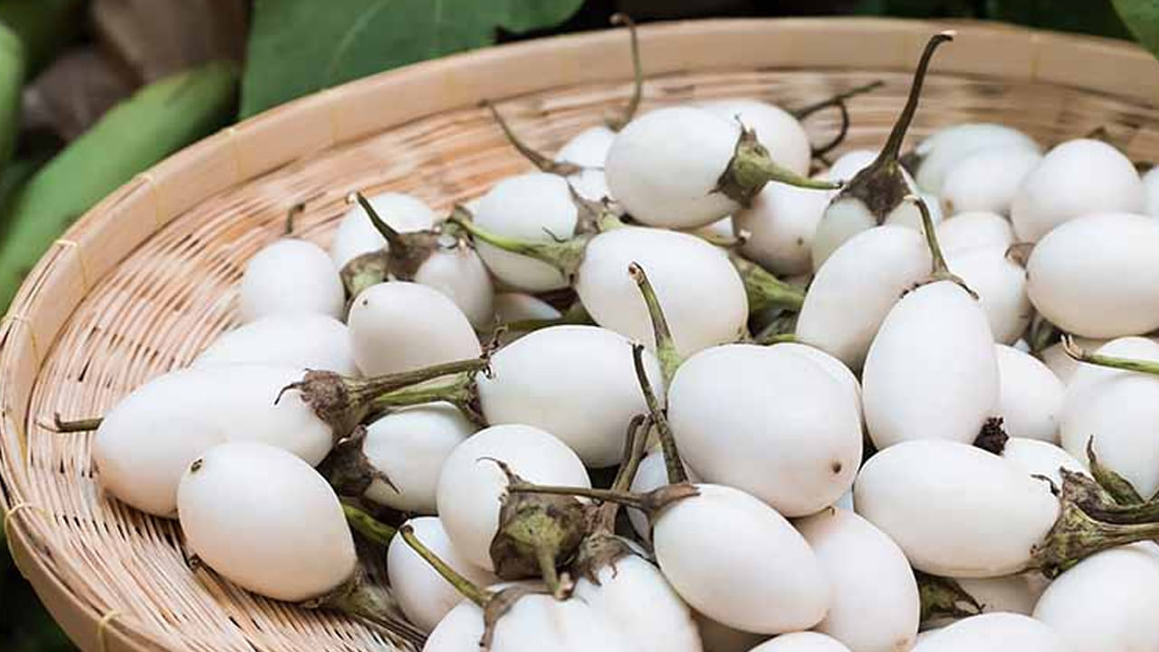 గ్యాస్ట్రిక్ సమస్యలు: కడుపులో గ్యాస్ లేదా అసిడిటీ సమస్యలు తరచుగా ఉన్నవారు వంకాయకు దూరంగా ఉండాలి. వంకాయ బరువుగా ఉంటుంది. జీర్ణం కావడానికి కష్టంగా ఉంటుంది. ఇది ఉబ్బరం. గ్యాస్ సమస్యను పెంచుతుంది.