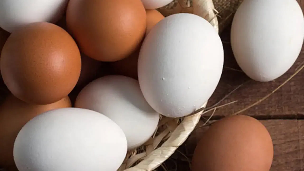 ఆరోగ్యం కోసం రోజుకు కనీసం ఒక గుడ్డైనా తీసుకోవాలని ఆరోగ్య నిపుణులు సూచిస్తుంటారు. గుడ్డులో పలు ప్రోటిన్లు, శరీరానికి అవసరమైన అమైనో ఆమ్లాలు, బి కాంప్లెక్స్ విటమిన్లు అనేకం ఉంటాయి. అందుకే గుడ్డు శరీరానికి మల్టీ విటమిన్‌గా ఉపయోగపడుతుంది. రోగ నిరోధక శక్తిని పెంచడానికి దోహదపడుతుంది. పైగా పెద్దలతో పాటు పిల్లలు కూడా వీటిని ఇష్టంగా తింటారు. 