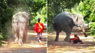 Viral Video: పోతార్రరేయ్‌…తప్పెవరిదో మీరే చెప్పండి… నెటిజన్స్‌ మాత్రం ఓ రేంజ్‌లో ఉతుకుతున్నరు