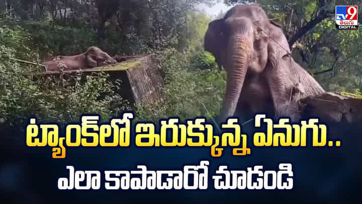 Viral: ట్యాంక్లో ఇరుక్కున్న ఏనుగు.. ఎలా కాపాడారో చూడండి Viral: ట్యాంక్లో ఇరుక్కున్న ఏనుగు.. ఎలా కాపాడారో చూడండి